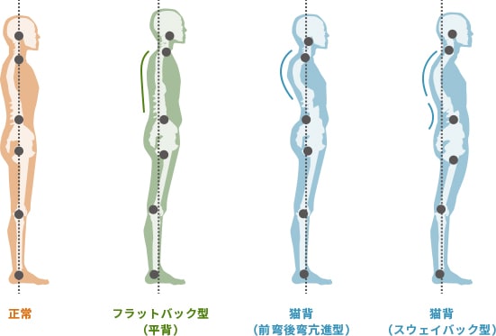 人は二本足で立って生活をします。